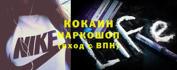 индика Волосово
