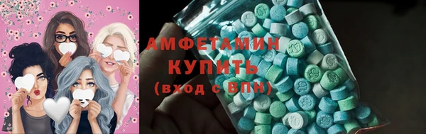 индика Волосово