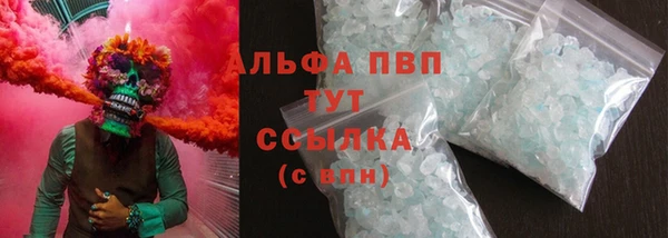 прущий лед Вяземский