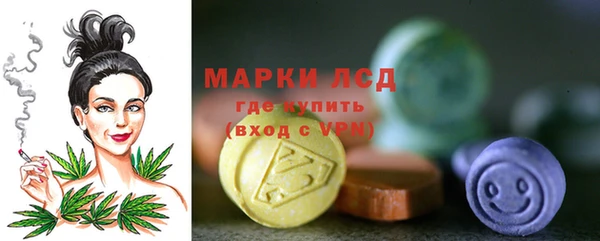 индика Волосово