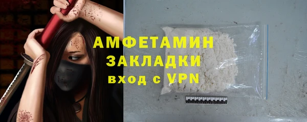 индика Волосово