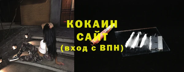 крисы Вязьма