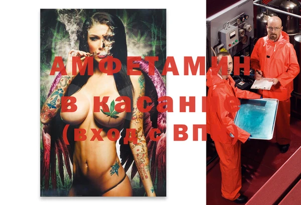 крисы Вязьма