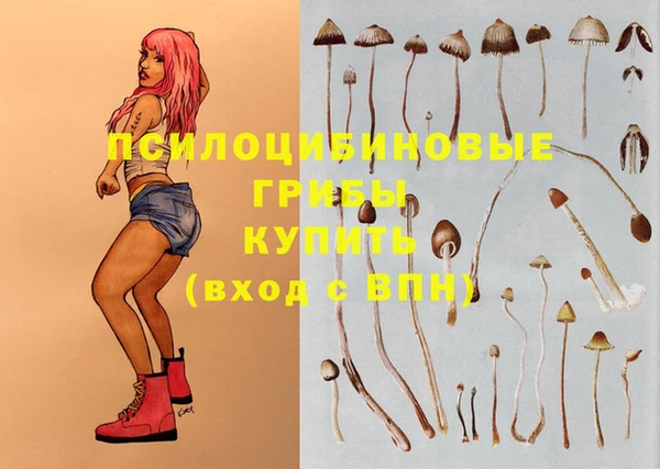 прущий лед Вяземский