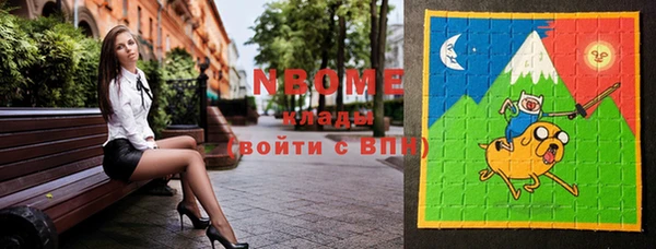 индика Волосово