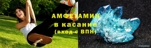 индика Волосово