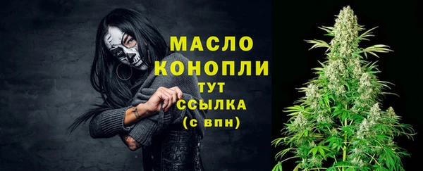 индика Волосово