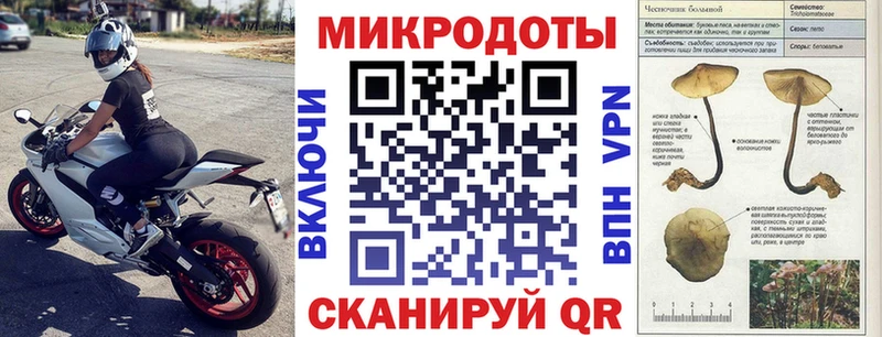 Галлюциногенные грибы Magic Shrooms  кракен рабочий сайт  Кедровый  закладка 